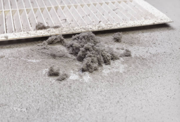Best Air Duct Sanitizing Services  in Chuluota, FL