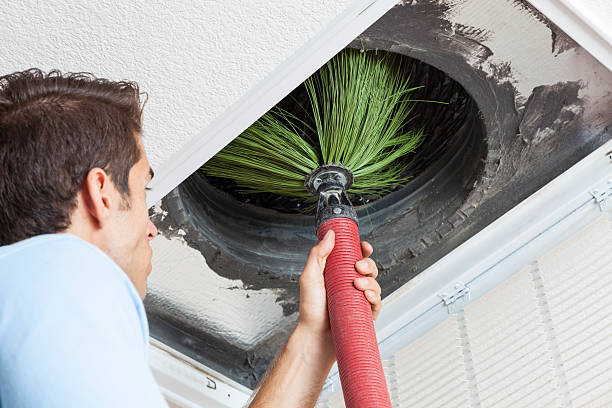 Best Air Vent Cleaning Services  in Chuluota, FL
